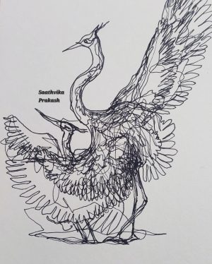 bird lineart